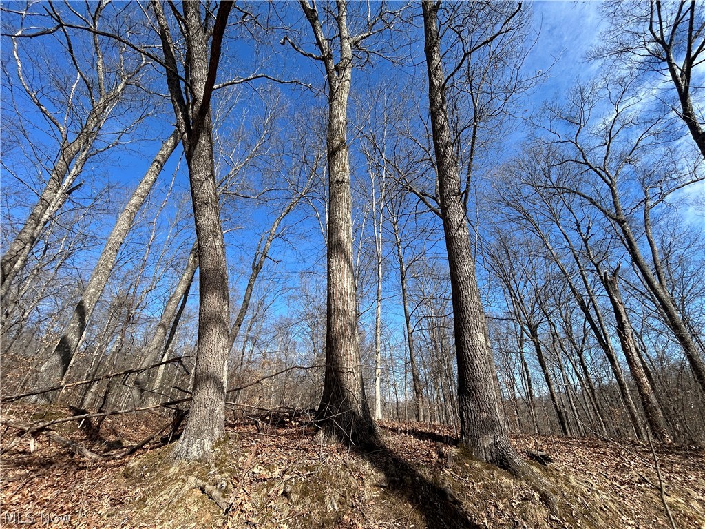 Ridgeview Lane Blue Rock OH 43727