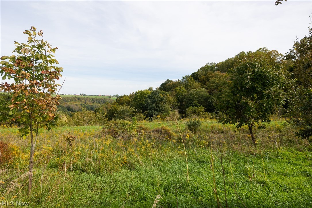 County Road 11 Road Dillonvale OH 43917