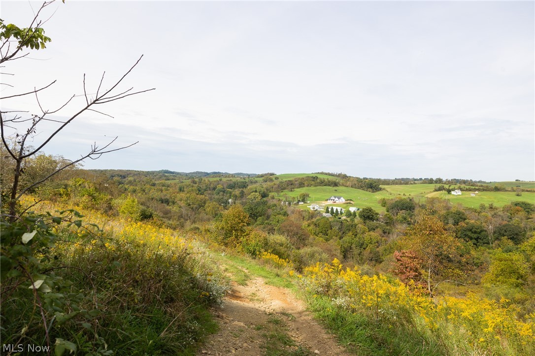 County Road 11 Road Dillonvale OH 43917