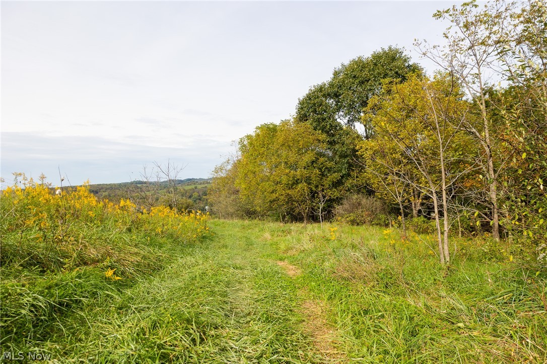 County Road 11 Road Dillonvale OH 43917