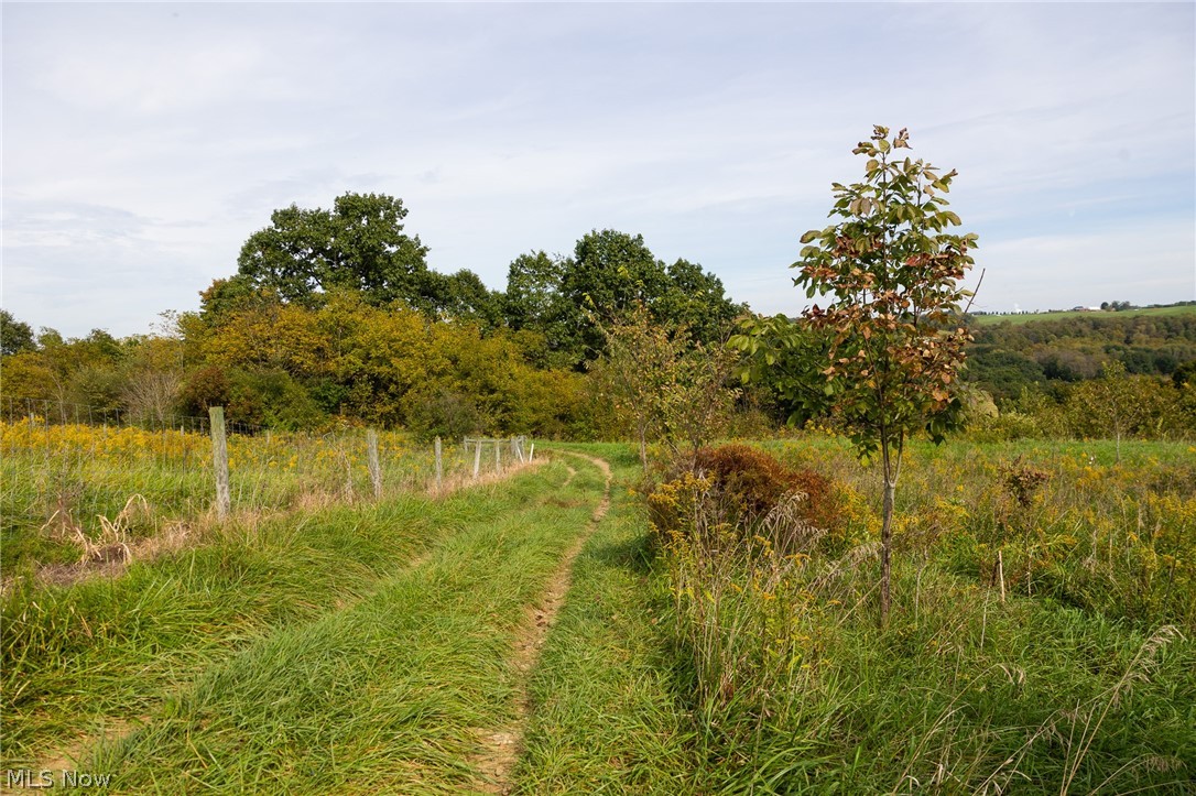 County Road 11 Road Dillonvale OH 43917
