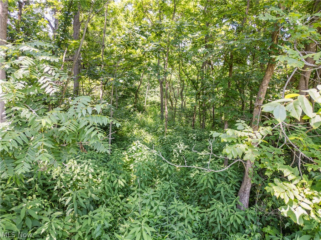 Lot 12 Township Road 51 Somerset OH 43783