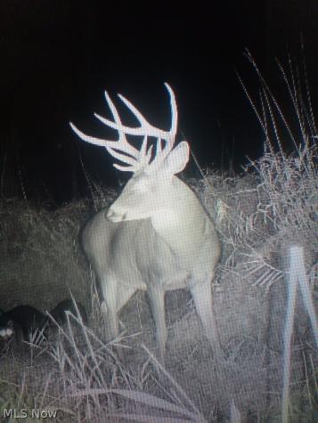 Holshoe Road Homerville OH 44235