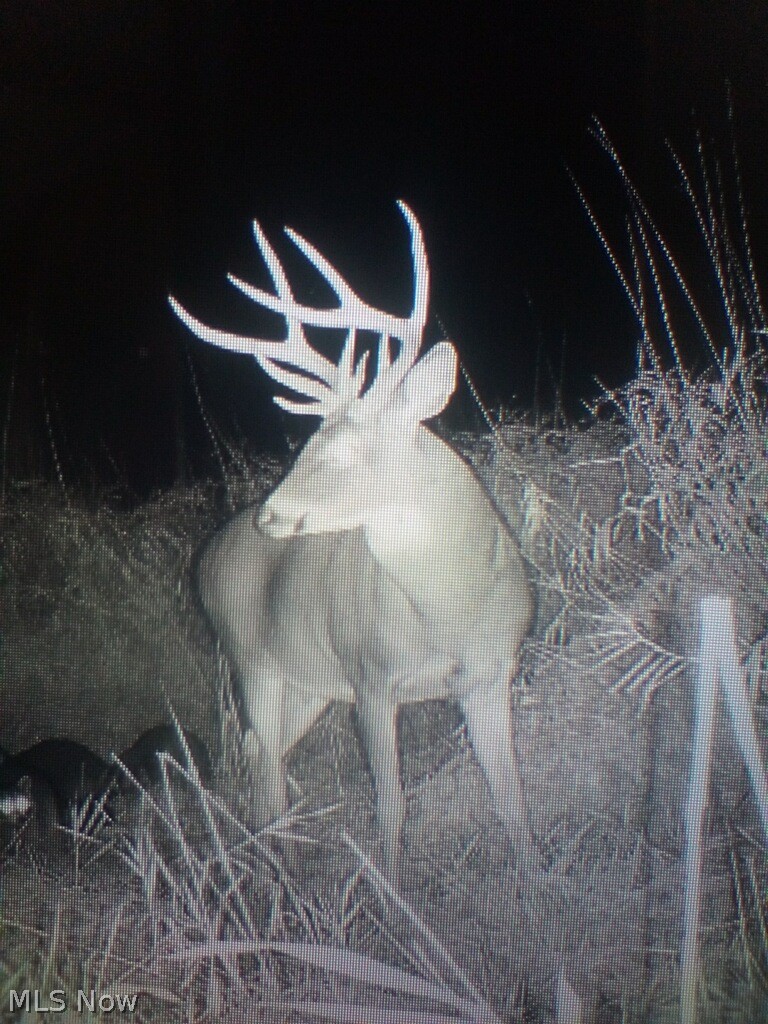 Holshoe Road Homerville OH 44235