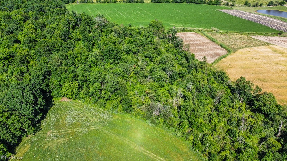 Holshoe Road Homerville OH 44235