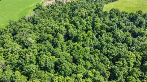 Holshoe Road Homerville OH 44235