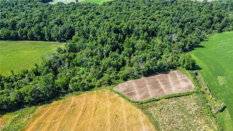 Holshoe Road Homerville OH 44235