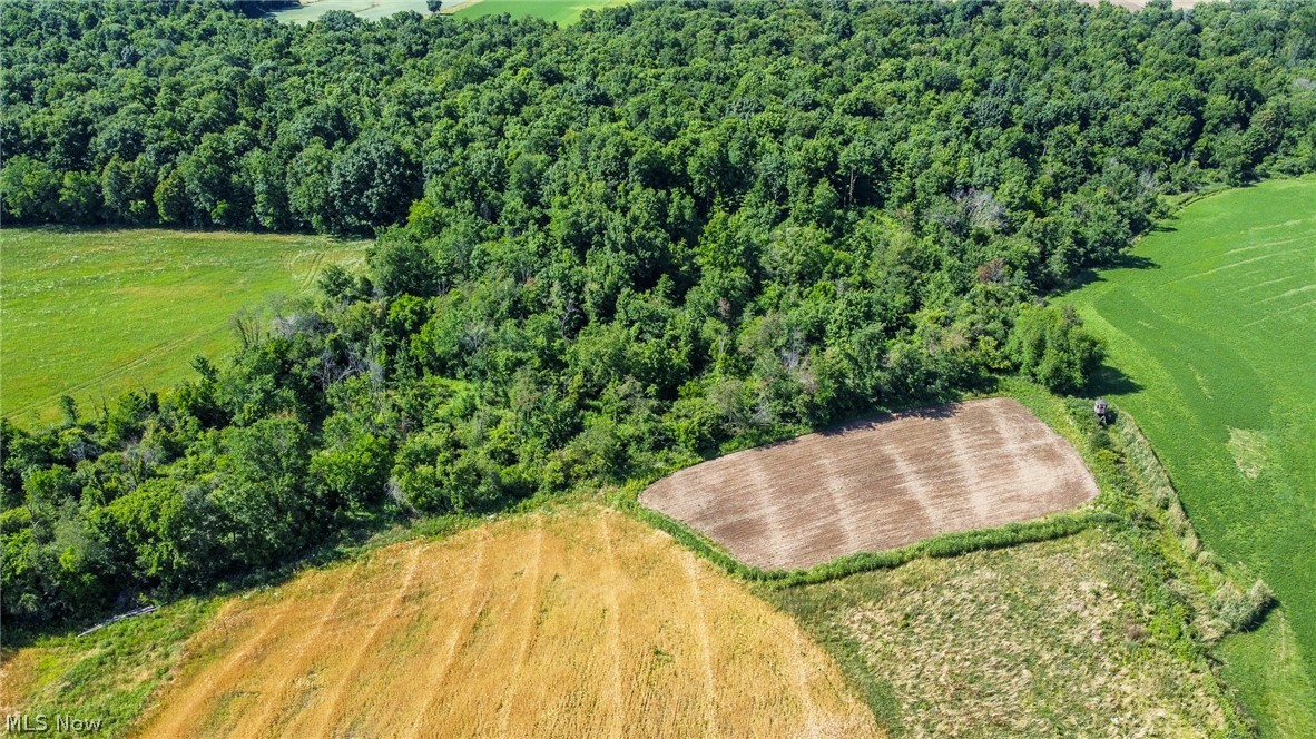 Holshoe Road Homerville OH 44235