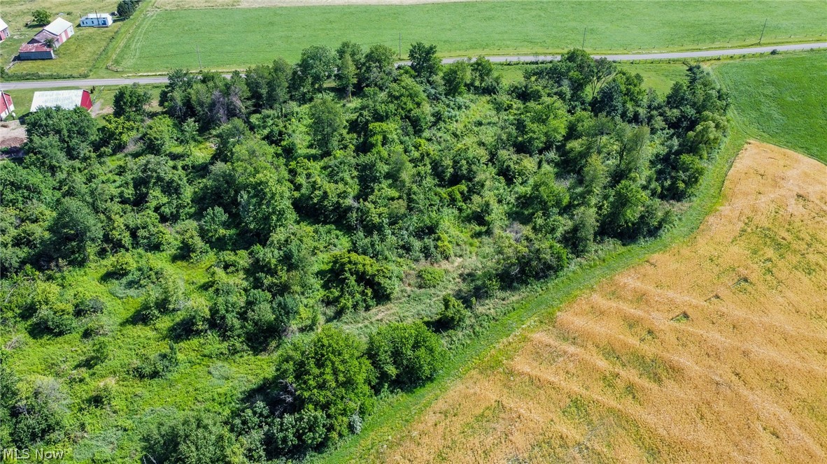 Holshoe Road Homerville OH 44235