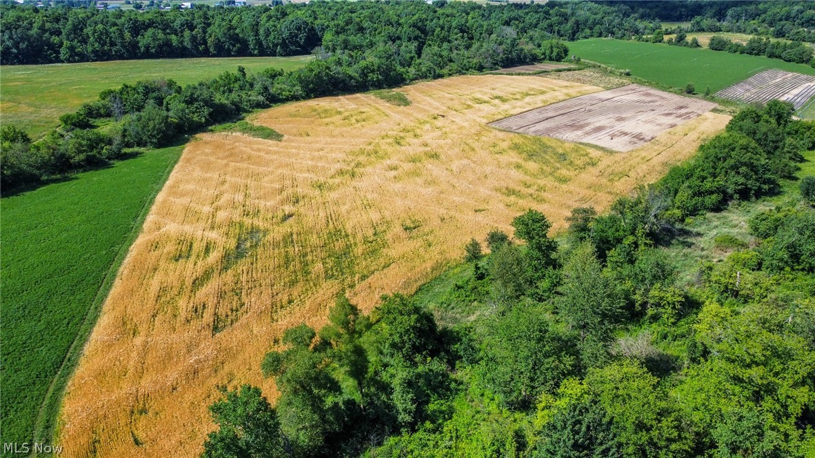Holshoe Road Homerville OH 44235