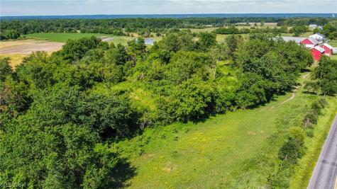 Holshoe Road Homerville OH 44235