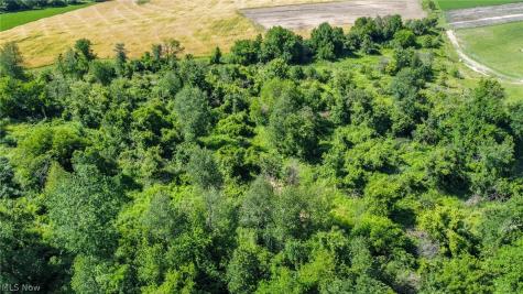 Holshoe Road Homerville OH 44235
