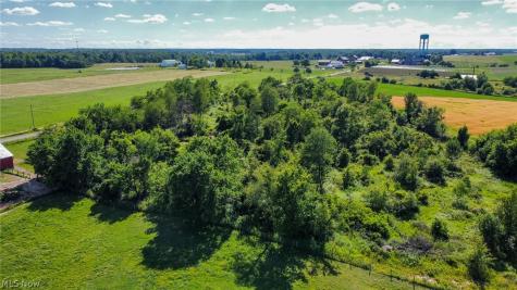 Holshoe Road Homerville OH 44235