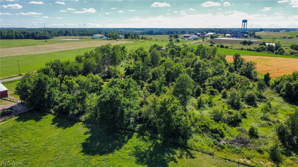 Holshoe Road Homerville OH 44235