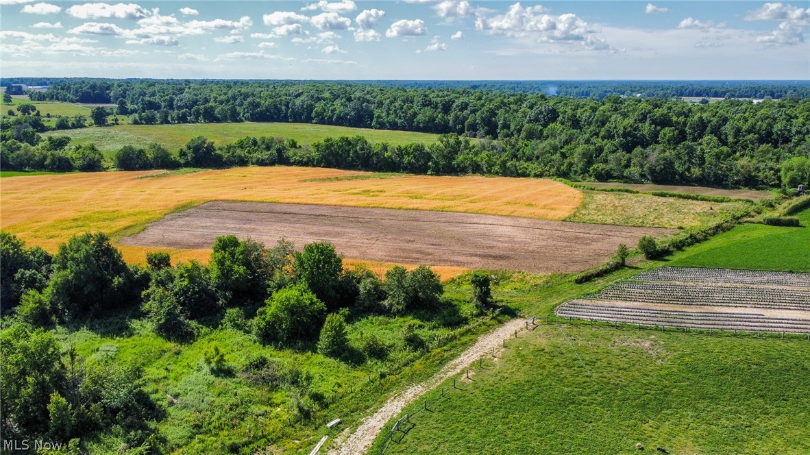 Holshoe Road Homerville OH 44235