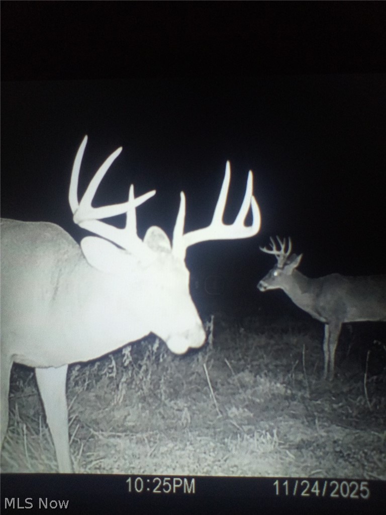 Holshoe Road Homerville OH 44235