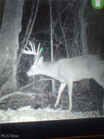 Holshoe Road Homerville OH 44235
