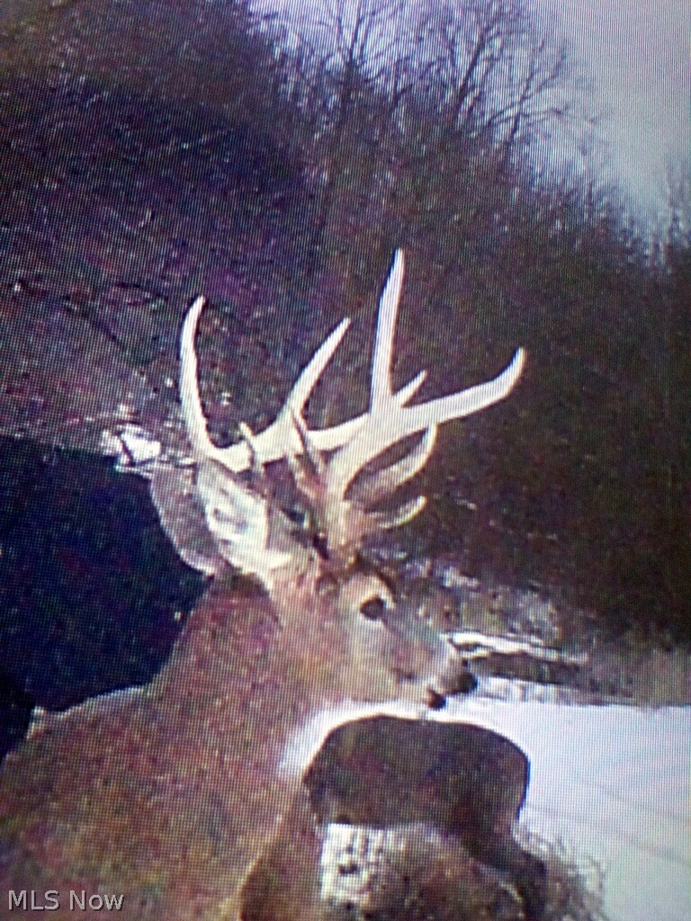 Holshoe Road Homerville OH 44235