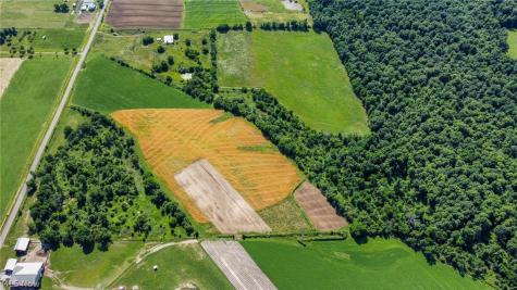 Holshoe Road Homerville OH 44235