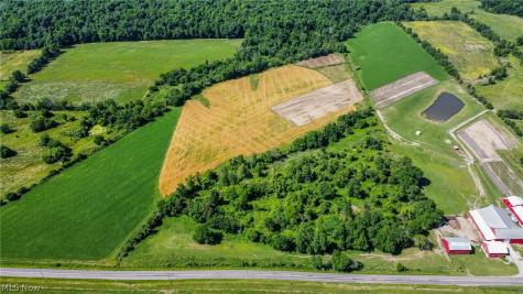Holshoe Road Homerville OH 44235
