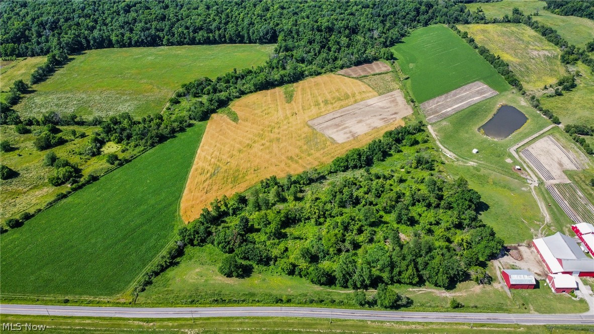 Holshoe Road Homerville OH 44235