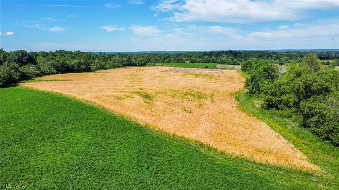 Holshoe Road Homerville OH 44235