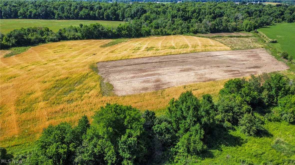 Holshoe Road Homerville OH 44235
