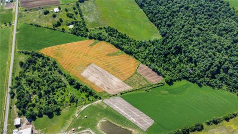 Holshoe Road Homerville OH 44235