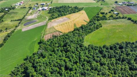 Holshoe Road Homerville OH 44235