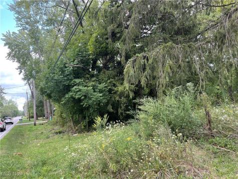 Bronson Road Olmsted Twp OH 44138