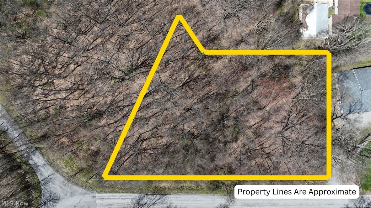 47044 & 47054 Tomahawk Drive Negley OH 44441