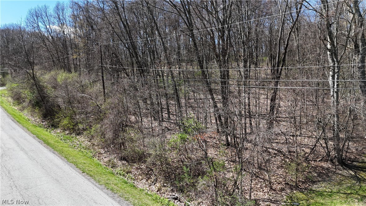 47044 & 47054 Tomahawk Drive Negley OH 44441