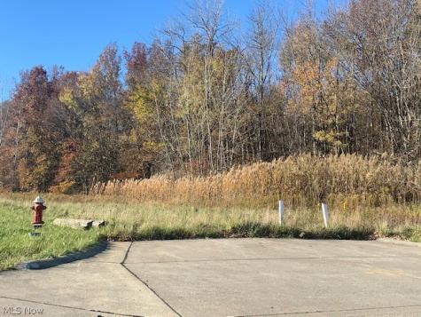 0000 Courtyard Drive Lorain OH 44053