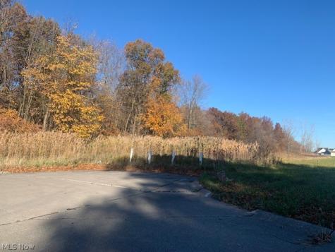 0000 Courtyard Drive Lorain OH 44053