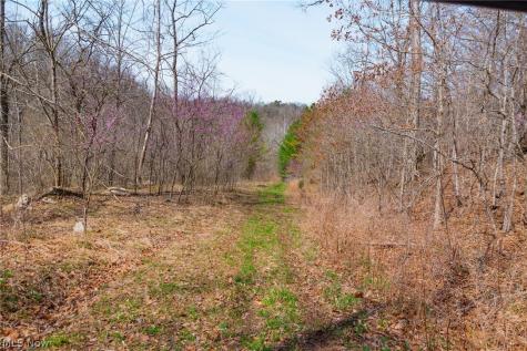 East Branch Road Lowell OH 45744