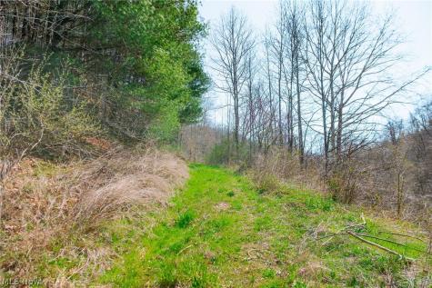 East Branch Road Lowell OH 45744