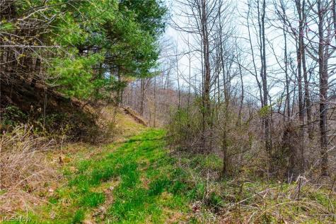 East Branch Road Lowell OH 45744