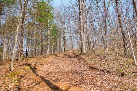 East Branch Road Lowell OH 45744