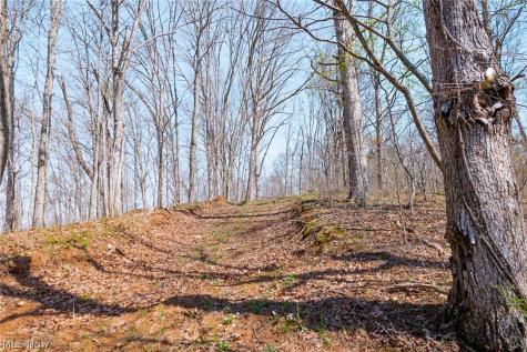 East Branch Road Lowell OH 45744