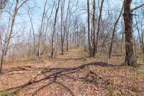 East Branch Road Lowell OH 45744