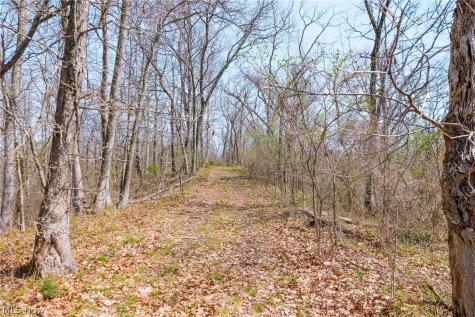 East Branch Road Lowell OH 45744