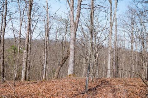 East Branch Road Lowell OH 45744