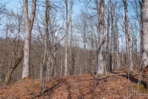East Branch Road Lowell OH 45744