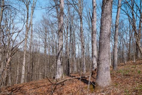 East Branch Road Lowell OH 45744