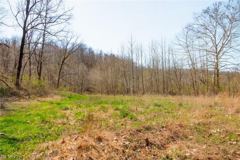 East Branch Road Lowell OH 45744