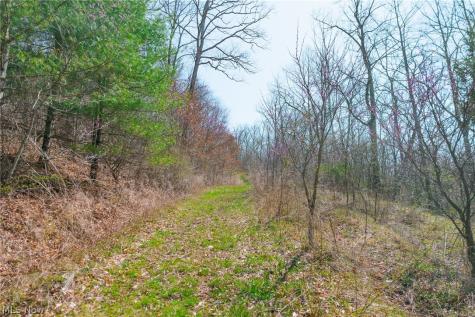 East Branch Road Lowell OH 45744