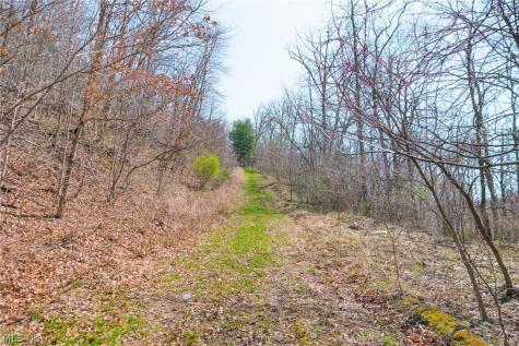 East Branch Road Lowell OH 45744