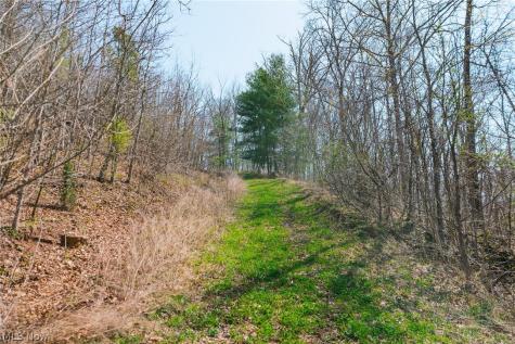 East Branch Road Lowell OH 45744