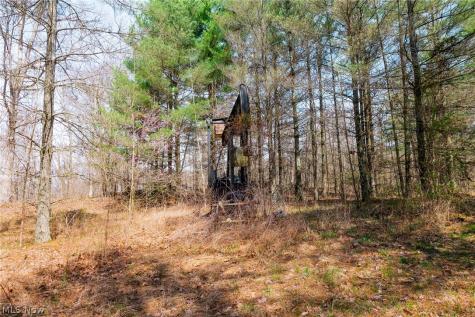 East Branch Road Lowell OH 45744