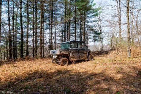 East Branch Road Lowell OH 45744